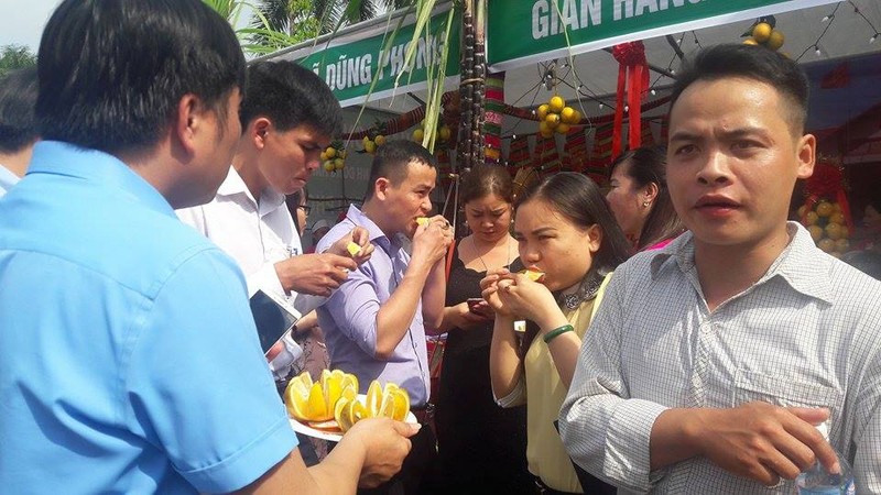 Ngam cam du sac mau tai le hoi cam Cao Phong lan 3-Hinh-3